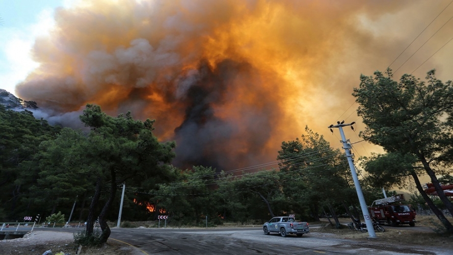 أردوغان يعلن 4 ولايات جنوبي تركيا مناطق منكوبة بسبب الحرائق