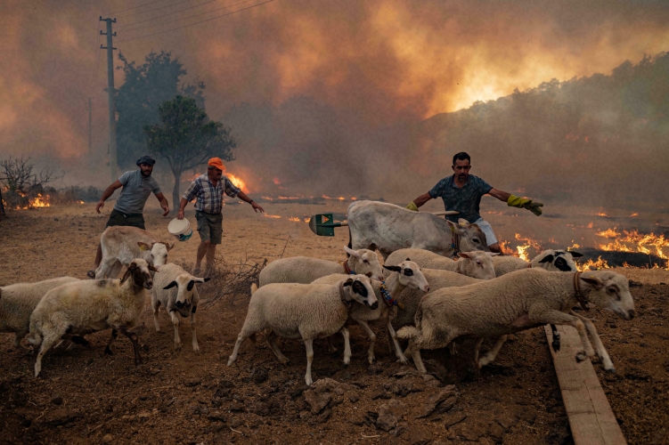 حرائق الغابات تتسبب بانقطاع الكهرباء في عدة مناطق تركية