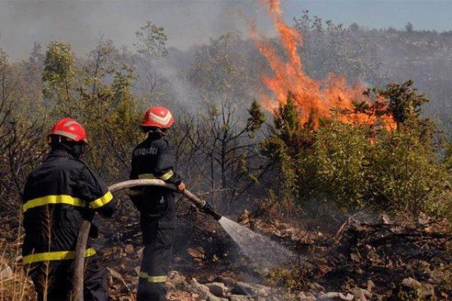 الجزائر تعوض على جميع الفلاحين المتضررين من حرائق الغابات