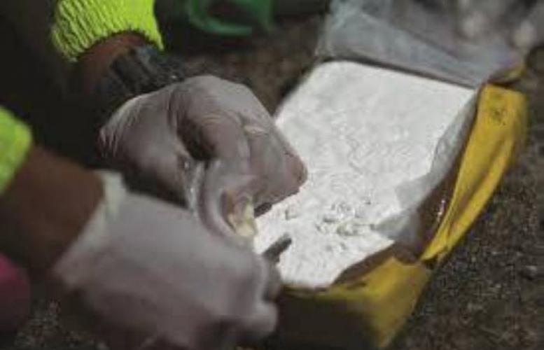 هولندا.. ضبط 4 آلاف كيلوغرام من الكوكايين في مرفأ روتردام