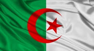 الرئاسة الجزائرية ترد على تصريحات ماكرون