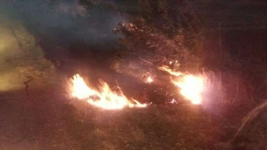 إخماد حريق بأشجار حراجية في حمص والعمل جاري على إخماد حريق آخر في اللاذقية