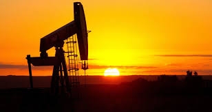 استقرار النفط بعد هبوطه بفعل مخاوف من الإفراج عن مزيد من الاحتياطيات الأمريكية