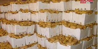 السورية للتجارة تطرح بطاطا نوع أول في صالاتها بسعر 2000 ليرة