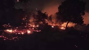 نشوب حريق كبير في محمية اليرموك بمحافظة إربد شمال الاردن