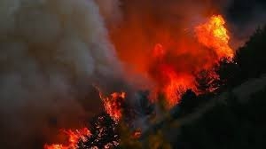 مصرع 4 أشخاص إثر حريق غابات شمال غربي باكستان
