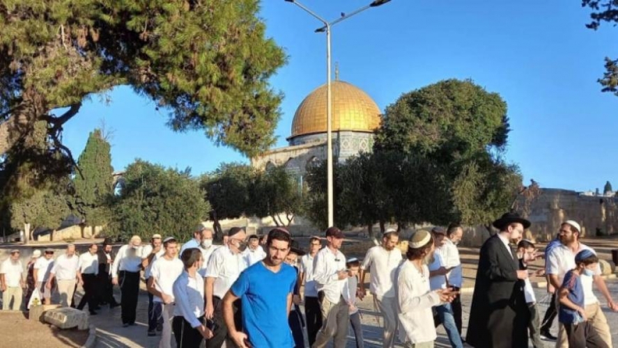 مجموعات من المستوطنين الإسرائيليين تقتحم باحات المسجد الأقصى