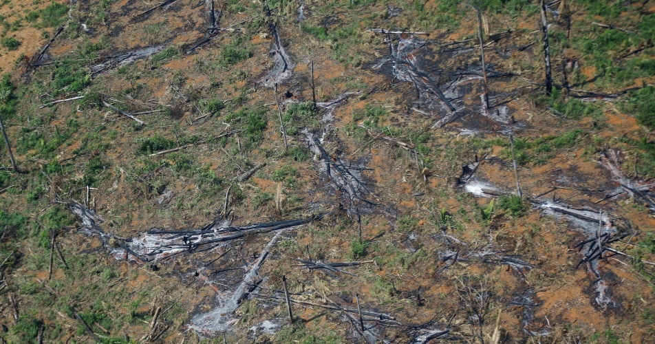 وكالة أبحاث الفضاء الوطنية البرازيلية... تدمير غابات الأمازون بلغ مستوى قياسي في الأشهر الستة الأولى من العام الحالي