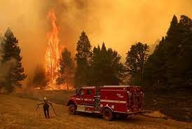 إعلان حالة الطوارئ في مقاطعة ماريبوسا في ولاية كاليفورنيا الأمريكية بسبب الحرائق