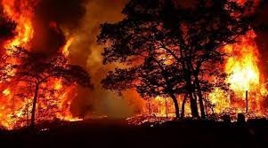 حرائق الغابات في جنوب شرق فرنسا تقضي على 900 هكتار من الأراضي