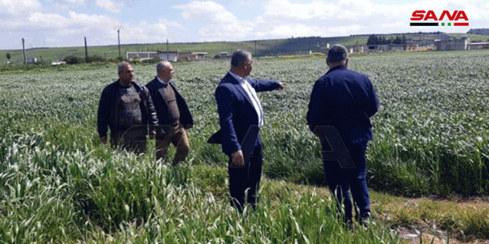 وزير الزراعة يطلع على الواقع الزراعي والثروة الحيوانية في حماة