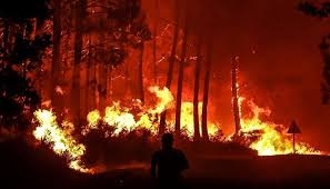 النيران تلتهم 60 مبنى إثر حرائق الغابات جنوبي روسيا