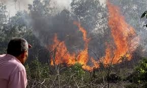 ارتفاع مؤشر خطورة الحرائق في غابات شمال غرب سورية