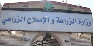 قريباً.. سجل زراعي خاص لتنظيم نشاط القطاع بشـقيه 