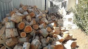 أشجار حدائق دمشق  تتحول لوقود التدفئة.. وسعر كيلو الحطب حوالي 3 آلاف ليرة