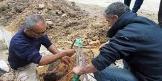 الشركة السورية للاتصالات: تعمل لإعادة خدمات الاتصالات للمناطق المتضررة من الزلزال