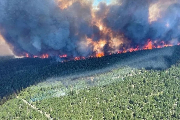 حرائق الغابات تخرج عن السيطرة في كندا