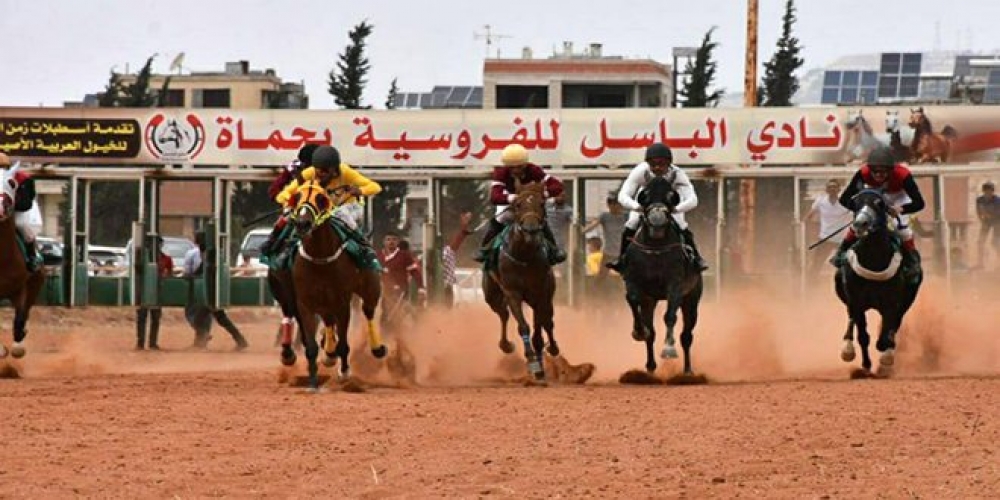 أكثر من 70 جواداً في سباق السرعة الدوري الثاني للخيول العربية الأصيلة بحماة