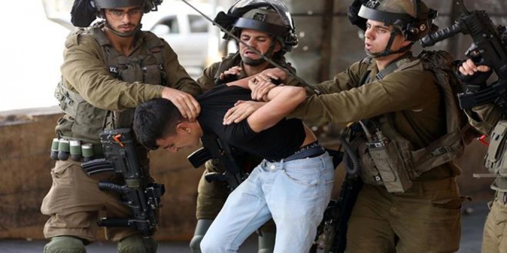 الاحتلال يعتقل 13 فلسطينياً في مناطق متفرقة بالضفة الغربية