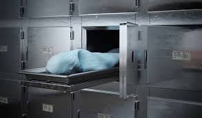 جامعة هارفورد الأمريكية الشهيرة متهمة ببيع الجثث البشرية 