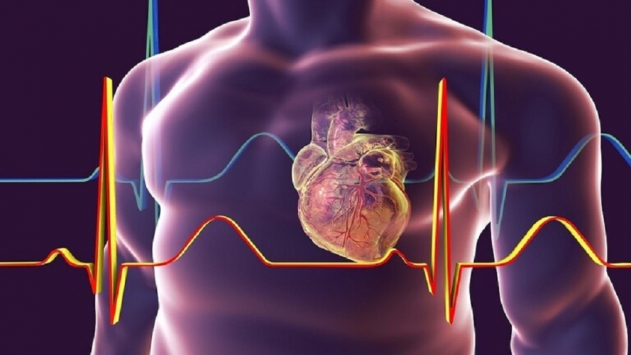 روسيا تعلن عن طريقة لاكتشاف أمراض القلب عن طريق الجلد