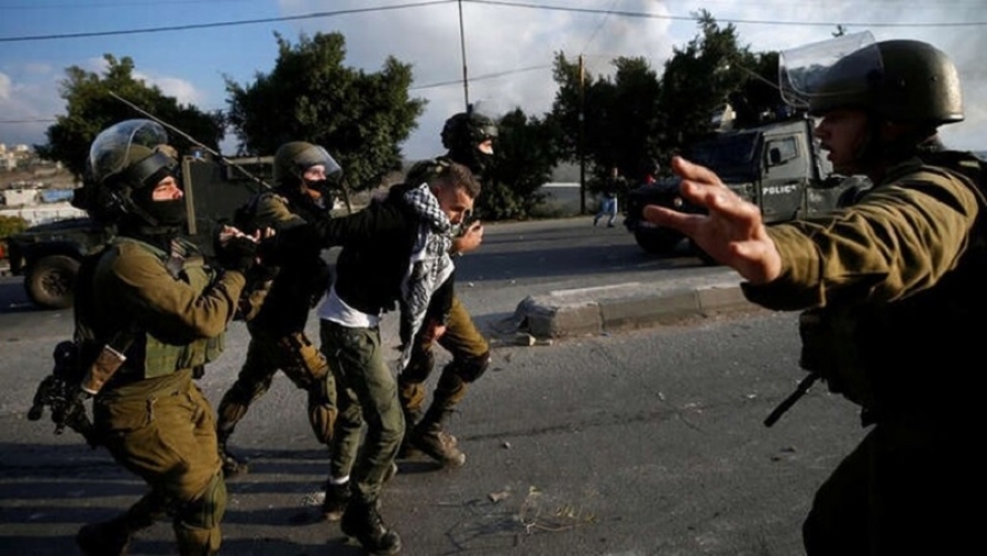 الأمم المتحدة ترجح اعتقال كيان الاحتلال آلاف الرجال في غزة