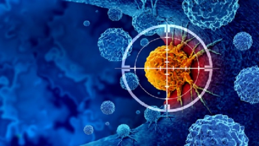“عاصفة الكالسيوم”.. علاج جديد يدمر الخلايا السرطانية