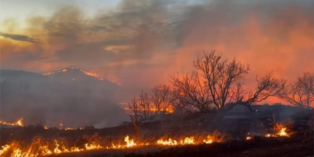 مصرع شخص وإخلاء آلاف المنازل في حرائق بغابات تكساس الأمريكية
