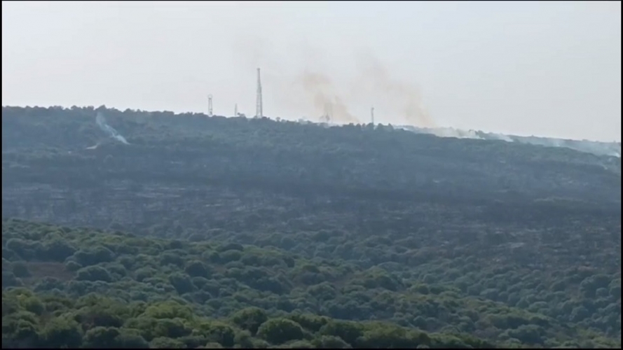 المقاومة اللبنانية تستهدف موقع زبدين بقذائف المدفعية