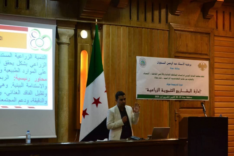 منظمة  منظمة