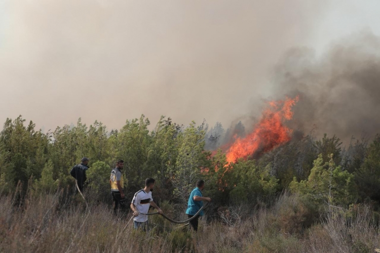 الحرائق تلتهم قرى ومحميات في طرطوس وسط عجز عن إخمادها