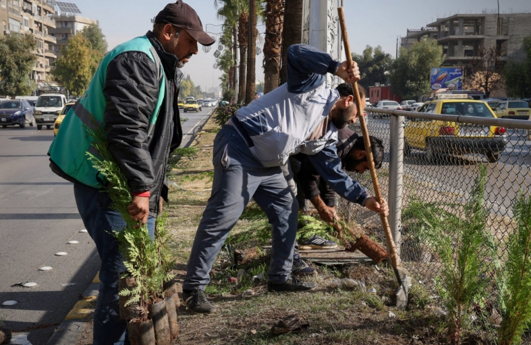 محافظة دمشق تطلق حملة لزراعة 10 آلاف شجرة مثمرة وزينة وحراجية في منطقة المزة