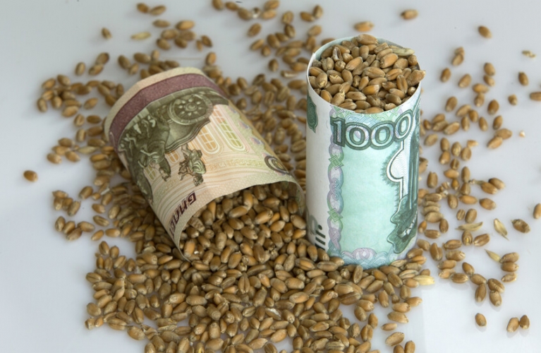 روسيا تحافظ على صدارتها العالمية في تصدير القمح في 2025