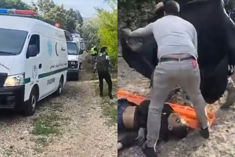 استشهاد 5 عمال سوريين وإصابة 8 آخرين في غارة إسرائيلية على بستان في بلدة الحنية اللبنانية 