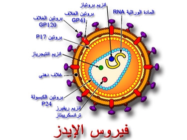 صيني ثمانيني يصاب بالإيدز