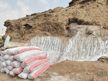 مجلس الوزراء يوافق على منح تراخيص لسكان تدمر لاستثمار الملح 