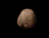 صورة بعنوان «Potato #345» بمليون يورو