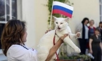 القط أخيل لتنبؤ نتائج مباريات مونديال روسيا