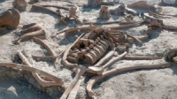 العثور على سن لإنسان نياندرتال البدائي يقدر عمره بـ48 ألف عام 