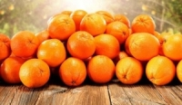 4 مسافرين تناولوا 30 كيلو من البرتقال لتجنب دفع الضرائب 