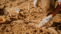 اكتشاف أول حفرية لديناصور قُتل في نفس يوم اصطدام كويكب عملاق بالأرض قبل 66 مليون سنة