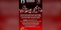 عشاق فنون القتال المختلط على موعد مع بطولة السوبر العربية في سورية