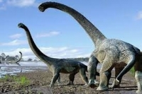 اكتشاف حيوان بحري أقدم من الديناصورات عمره نحو 500 مليون عام في كندا