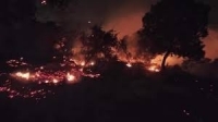 نشوب حريق كبير في محمية اليرموك بمحافظة إربد شمال الاردن