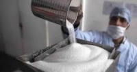 بعد حظر تصدير القمح ... الهند تعلن تقييد بيع السكر في الأسواق العالمية