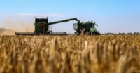 نيويورك تايمز.. اتفاقية تصدير الحبوب الى أوكرانيا تتضمن إزالة جزء من حقول الألغام