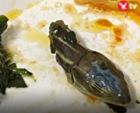العثور على رأس أفعى مقطوع في وجبة طعام طائرة تركية متجهة الى ألمانيا   