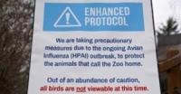 منطقة وقائية في جميع أنحاء بريطانيا العظمى بسبب انفلونزا الطيور