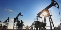 تراجع أسعار النفط بعد الإعلان عن الإفراج عن الاحتياطيات الأمريكية