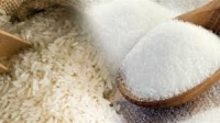 بعد الأرز.. مصر تحظر تصدير السكر بشكل عاجل